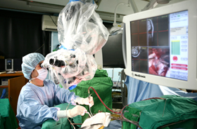 김엘 교수님 사진3