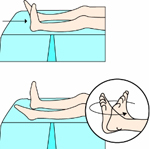 발목운동 관련이미지
