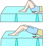 둔부운동 관련이미지